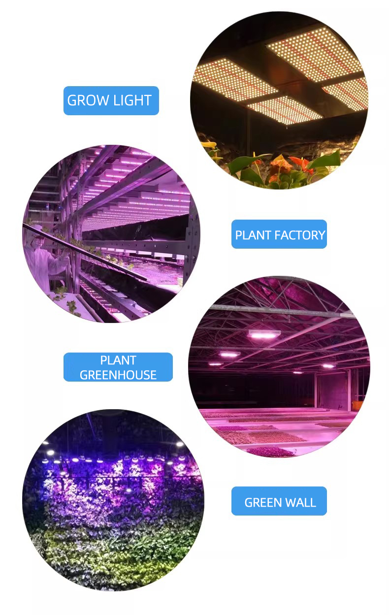 3030 Plant Lighting Source High Voltage 5V Plant Shed Dedicated High Power 0.8W Full Spectrum LED Beads